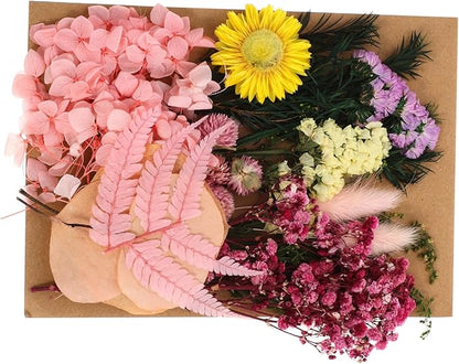Natural Dried Flowers DIY Craft Kit Real Flower Bouquet Accessories for Photo Frame Making Floral Decorations for Wedding Home Party and Interior Styling