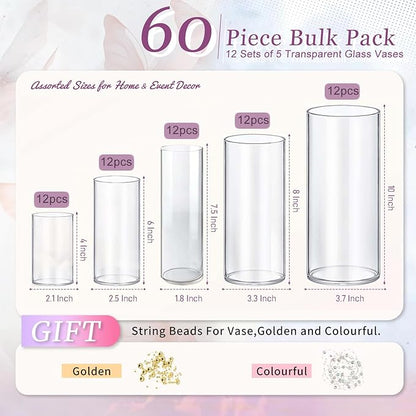 60pcs Glass Vase Cylinder Vases for Centerpieces Small Flower Glass Vases Home Decor Centerpiece Table Clear Flower Vase Decorations for Wedding＆Holiday 4,6,7.5,8,10 Inch Tall