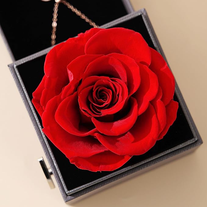 ADDWel Preserved Rose Gifts for Mom Birthday – Forever Real Rose Music Box for Women – You Are My Sunshine Gifts for Mom Grandma Wife Girlfriend – Eternal Roses Musical Box with I Love You Necklace
