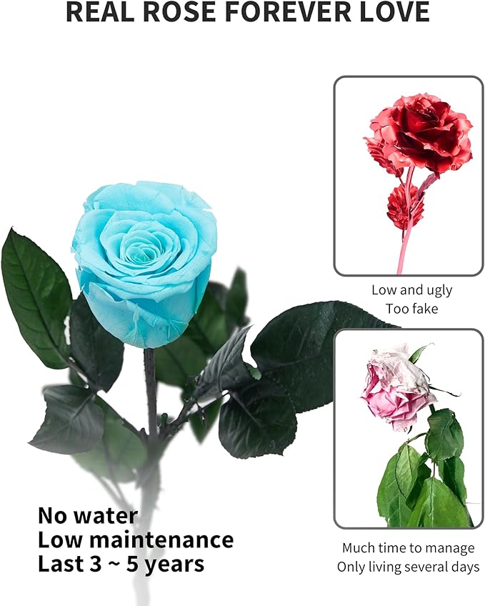 Sky Blue Flowers for Delivery Prime, Preserved Blue Roses Flower Gifts for Women, Real Roses Single Rose Gifts for Her, Mom Birthday Gifts from Daughter, Valentines Flowers