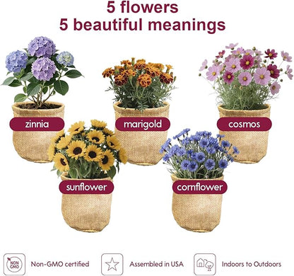 Herbsy 5 Indoor Flower Growing Kit, Complete Planting Starter Set with Sunflower, Zinnia, Marigold, Cosmos, Cornflower Seeds, Unique Birthday and Christmas Gifts for Women, Men, Plant Lovers