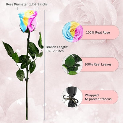 Single Forever Roses in a Box,Preserved Flowers for Delivery,Preserved Rose Gifts for Women,Real Roses Gifts for Her,Mom Birthday Mothers Day Valentines Flowers,Rainbow