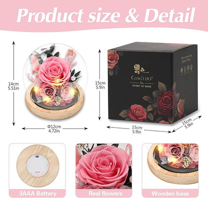Preserved Roses Flowers for Delivery, Pink Forever Flores in Glass Dome for Women Mom Grandma Wife Girlfriend, Eternal Rose Anniversary Birthday Gift for Valentines Mothers Day Christmas