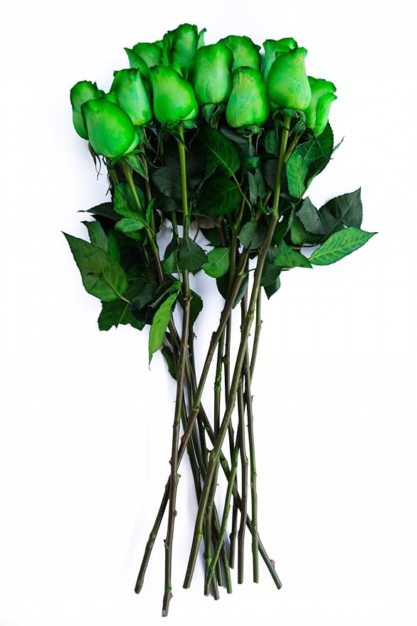 36 Stems - Fresh Cut Tinted Green Roses from Flower Explosion