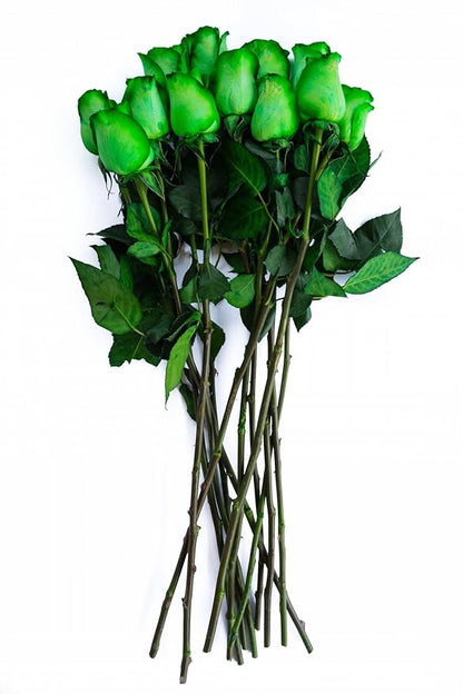 36 Stems - Fresh Cut Tinted Green Roses from Flower Explosion