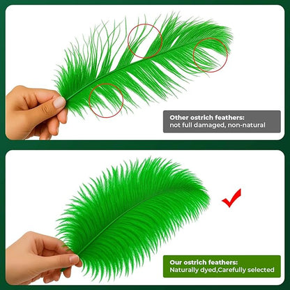 Piokio 20 pcs Green Ostrich Feathers 12-14 inch(30-35 cm) Bulk Feathers for Home Decoration and DIY Clothing and St. Patrick Decoration, Gatsby Decorations