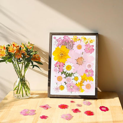 30Pcs Dried Pressed Flowers Bulk Dried Flowers for Crafts, Dry Flowers for Resin Molds DIY Scrapbooking Candle Jewellery Making (Pink)
