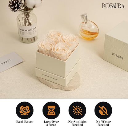 Rosaura 4-Piece Eternal Preserved Roses & Flowers Gift Box - Forever Lasting Real Roses, Preserved Flowers for Valentine's Day (Champagne)