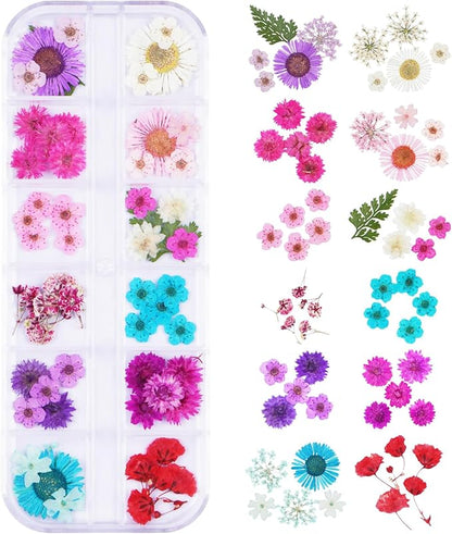 60Pcs Small Dried Pressed Flowers for Crafts,Xinxinran Tiny Dry Flower Kit for Nail Art,Epoxy Resin Accessories,Bookmark,Nails, Jewelry Making,Candle,Soap,Resin Molds(1 Boxs)