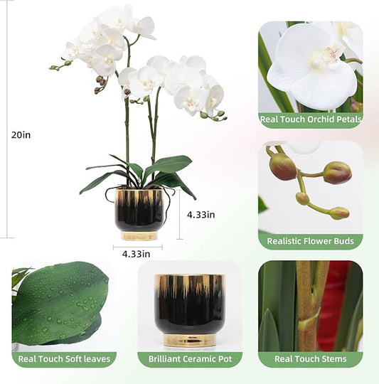 CXGS Orchids Artificial Flowers Real Touch Fake Flowers in Ceramic Pot 20" White Faux Orchid Plant Lifelike Silk Phalaenopsis for Centerpiece Hotel Home Indoor Decor