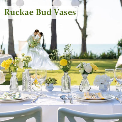 RUCKAE Small Clear Bud Vases Bulk 22 Pack Mini Flower Glass Vases for Centerpiece Table Wedding Decorations Home Decor Party(Transparent)
