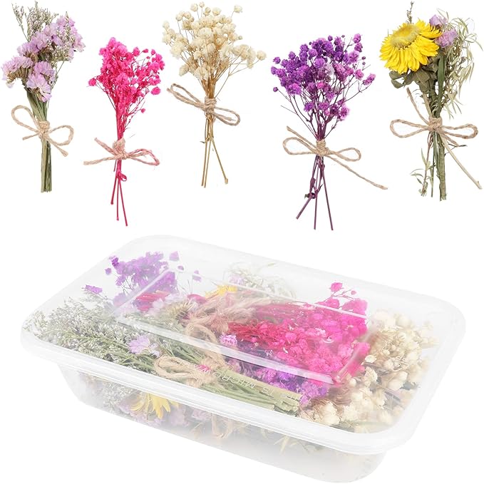 10 Pack Mini Dried Babys Breath Flowers Bouquet Natural Gypsophila Dried Flower with Stem Dried Embossing Flower Bundles Artificial Flowers Dried Floral Arrangement for Resin, Vase, DIY, Photo Prop
