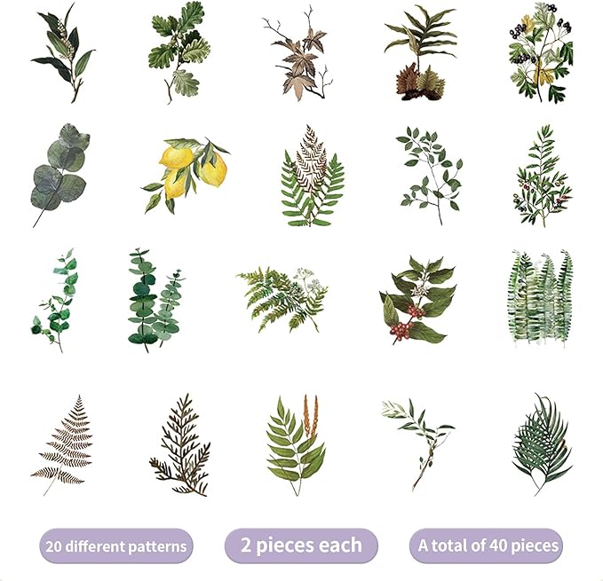 Transparent Flower Stickers for Scrapbooking PET Nature Plant Stickers Floral Stickers Vintage Craft Sticker Colorful Small Flower Sticker for Journaling Scrapbooking Clear Flower Decals(Style B)