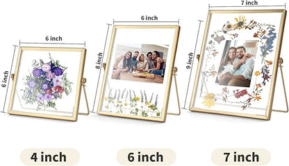 Gold Picture Frame Set - /w 68 Pcs Dried Flowers and Tweezer - Double Glass Frame for Pressed Flowers, Pressed Flower Frames for Handicrafts, Photo or Other Flat Items.
