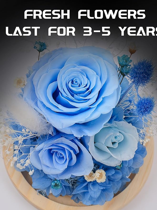 FIACO Preserved Rose Birthday Gift for Women Forever Fresh Flowers for Prime Delivery Gift for Mom Grandma Wife Valentines Mothers Day Christmas Anniversary Eternal Roses in Glass Dome