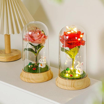 Levvohd Red Roses Birthday Gifts for Mom from Daughte, Beauty and The Beast Rose, Light Up Rose in Dome for Her Girlfriend Mom Christmas Mother Day Valentine Day Gift (Dragon)