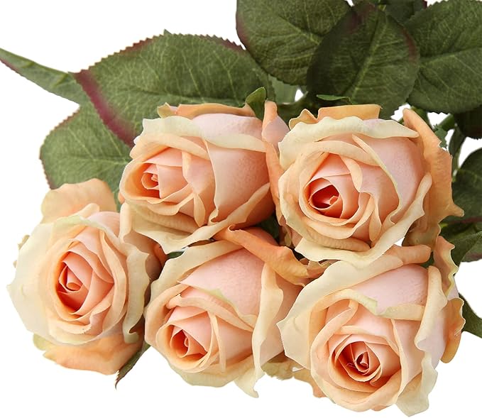 DILATATA Artificial Realistic Roses Peach Flowers 24" Real Touch Silk Roses Bouquet Long Stems Rose Fake Roses Decor for Home Party Wedding Table Centerpieces Roses Realistic - 5 Pcs