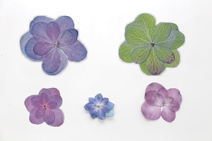 50 Pcs Mixed Hydrangea Dried Pressed Flowers for Crafts,Real Nature Dry Flower Bulk for Resin Jewelry Making Candle Making Frame Decoration Art Floral Decors