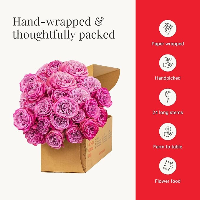 BloomsyBox - Lavender Roses - 24 Long Stems, Long Lasting, Hand-Tied in Eco-friendly, Vase Not Included, Fresh Flowers for Delivery – Gift for Birthday, Anniversary, Congratulations, Wedding