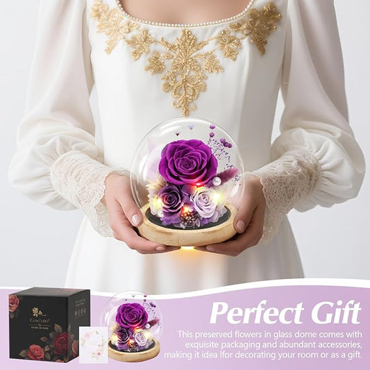 Preserved Roses Flowers for Delivery, Purple Forever Flores in Glass Dome for Women Mom Grandma Wife Girlfriend, Eternal Rose Anniversary Birthday Gift for Valentines Mothers Day Christmas