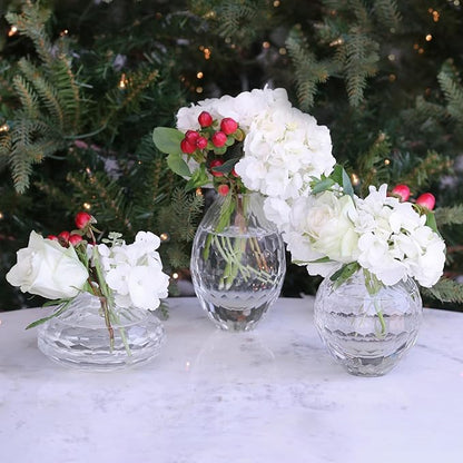 Beatriz Ball Glass Faceted Round Bud Vase (Clear)