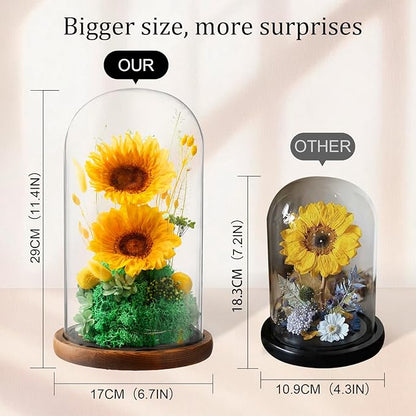 Flowers for Delivery - Forever Flowers Sunflower in Glass Dome with LED Lights, Large Size Preserved Sunflower Gifts for Women, Mom, Wife, Friend -Birthday, Valentine's Day Gift (Sunflower)