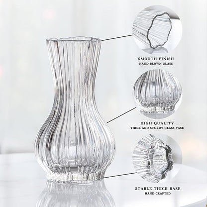 10" Decorative Modern Flower Vase for Floral Arrangements, Large Elegant Clear Glass Vase for Bouquet(Transparent) (Clear, 01)