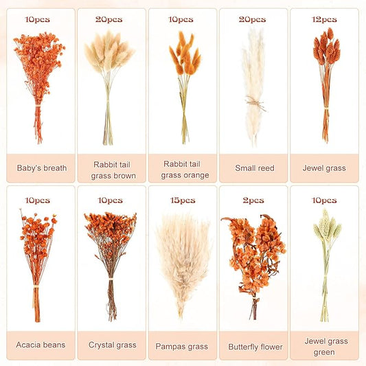 10 Kinds of Dried Flowers for Crafts Burnt Orange Fall Flowers Natural Pampas Grass Bunny Tails Babys Breath Hydrangea with Stems Dry Floral Arrangement for Fall Wedding Autumn Decorations for Home