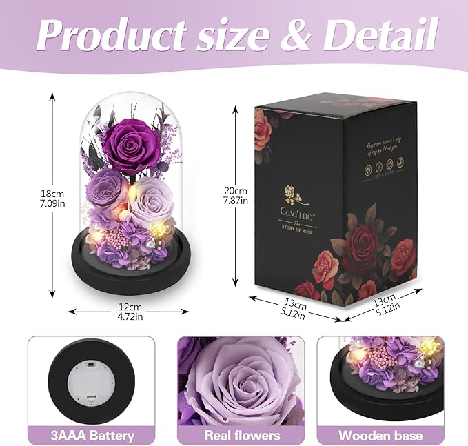 Casaido Preserved Roses Flowers for Delivery, Purple Forever Flores in Glass Dome for Women Mom Wife Girlfriend Grandma, Eternal Rose Anniversary Birthday Gift for Mothers Day Valentines Christmas