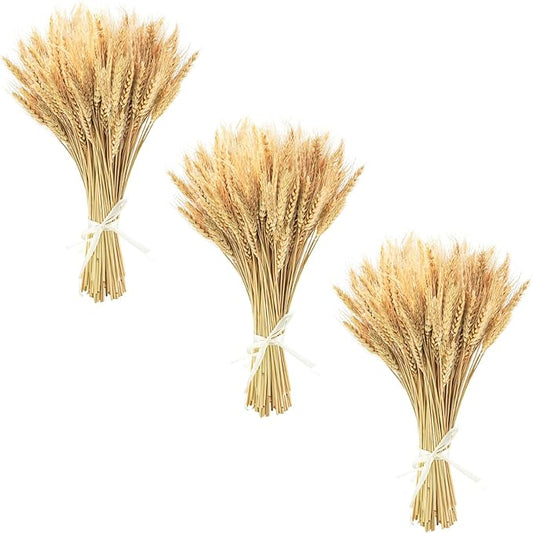 Uieke 17.7 Inches Dried Wheat Stalks, 300 Stems Dried Flowers 100% Natural Wheat for Home Kitchen Wedding Party Table Centerpiece Harvest Wreath Boho Farmhouse DIY Fall Decor