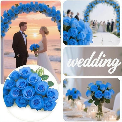Blue Roses Artificial Flowers 15 PCS, Fake Roses Silk Flowers with Long Stems, Faux Rose for Wedding Centerpieces, Home Decor, Indoor Floral Arrangements, Party Decor, DIY Bouquet (Sky Blue)