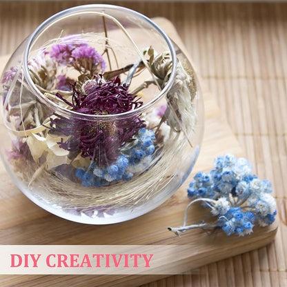 PATIKIL Mini Dried Gypsophila Flower Kit, 30Pcs 4 Inch Rose Purple Natural Pressed Floral Bundles with Tweezer for DIY Resin Crafts Gift Wedding Christmas Card Decor Flower Bouquets