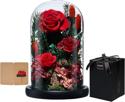 Preserved Roses,Forever Fresh Flowers 7.48in,Gift for Women,Mom,Grandma,Wife,Girlfriend,Sister,and Daughter Perfect for Birthday,Mother’s Day,Valentine’s Day (True Romance1)