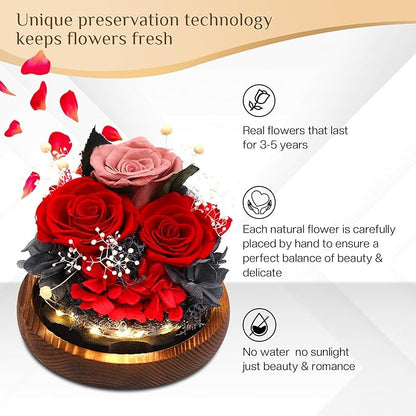 Preserved Flowers,Rose in Glass Dome with LED Light, Gifts for Her, Women, Mom,Grandma,Girlfriend, Wife-Style7