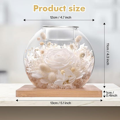 Christmas Birthday Gifts for Women Preserved Roses in Glass Dome with Scented - Romantic Preserved Flower for Women, Girlfriend, Wife, Mom, Grandma, Sister, Her-White