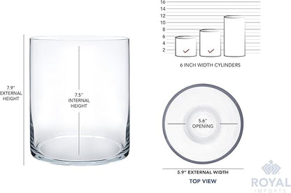 Royal Imports Flower Glass Vase Decorative Centerpiece for Home or Wedding - Cylinder Shape, 8" Tall, 6" Opening, Clear