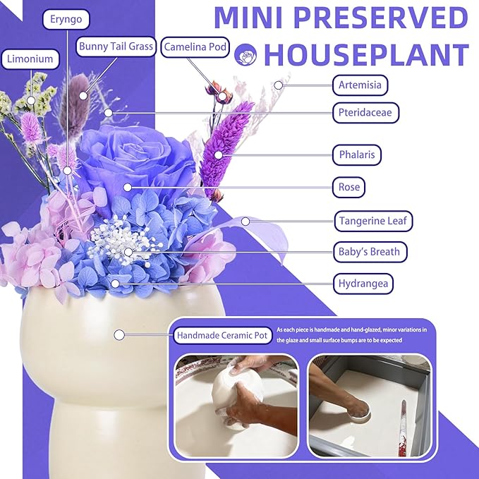 Preserved Floral Gift Set, Everlasting Rose in Small Ceramic Pot - Lasting Beauty for Home Table Decor, Mother's Day, Valentine's Day, Birthday, and Anniversary (Purple)
