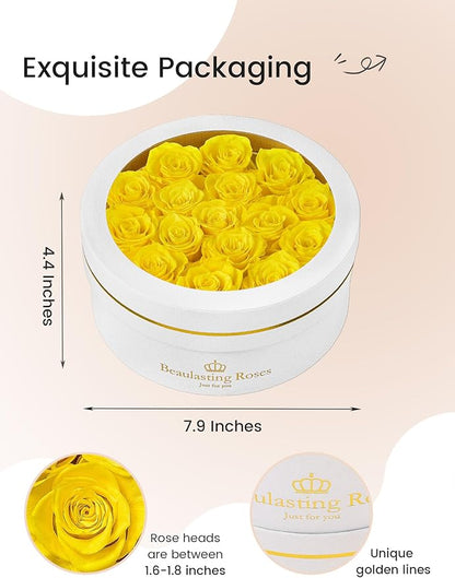 Preserved Roses Forever Flowers Real Roses in a Box Mother's Day Birthday Flowers for Her Mom Women Wife Valentine's Day, 16 Yellow Roses