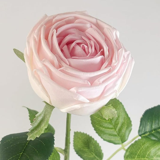 5Pcs Realistic Touch Artificial Roses - Moisturizing Faux Roses for Home Decor, Weddings, Parties, Gifting, Gardening & Floral Arrangements (Pink)