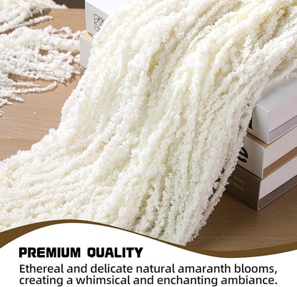 5Pcs Dried Amaranthus Hanging Flowers, Natural Preserved Flower for Wedding Arch, Exhibition, Wall Hanging Lover Tears, Floral Arrangement, Home Decor (White, 24")