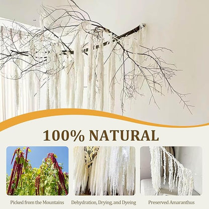 7 Pcs White Dried Preserved Amaranthus – 23" Long Hanging & Cascading Flowers for Wedding Bouquets, Centerpieces, Wall Decor & Home Decoration