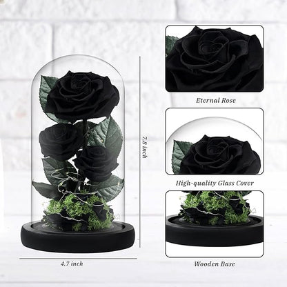 3 Preserved Flowers Roses in Glass Dome with Light for Beauty and The Beast Decor Real Rosas Eternas for Women Mom Birthday,Forever Black Roses for Delivery, Christmas for Wife Girlfriend Her
