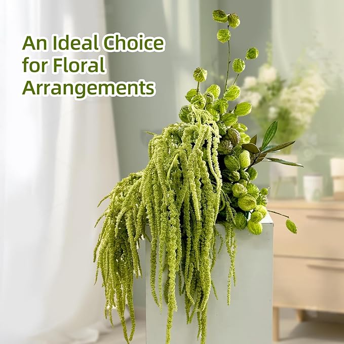 5Pcs Dried Amaranthus Hanging Flowers, Natural Preserved Flower for Wedding Arch, Exhibition, Wall Hanging Lover Tears, Floral Arrangement, Home Decor (Chartreuse, 24")
