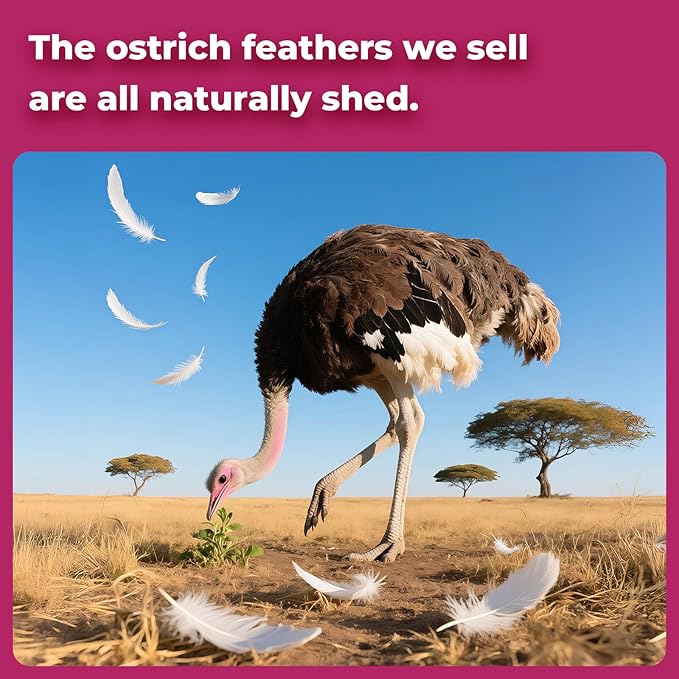 Piokio 20 pcs Natura Gold Ostrich Feathers 12-14 inch(30-35 cm) Bulk for Wedding Party Centerpieces and DIY Clothes Decoration, Gatsby Decorations