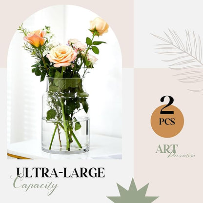 2 Pcs 9 Inch Large Glass Vase for Bouquet Wide Mouth Vase for Centerpieces Large vase for Flowers Modern Glass Vases for Wedding Home Dining Table Decor(H: 9” W: 6")