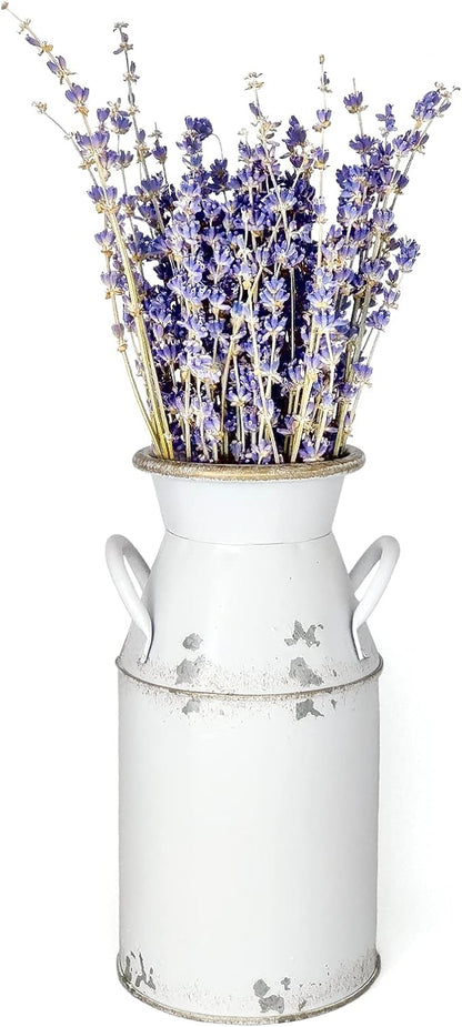Galvanized Milk Can Antique Retro Vase Metal Planter Rustic Vintage Primitive Flower Holder Farmhouse Country Plant for Home Office Decor, 7.6”