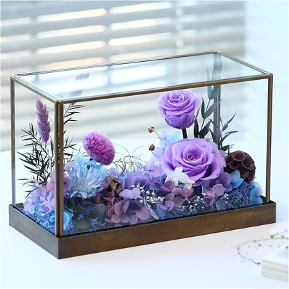 Christmas Flowers Roses Gifts for Mom,Forever Real Preserved Rose in Glass Dome,Christmas Roses Gifts for Women Grandma Wife Mother in Law