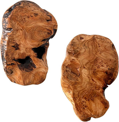 JOLLYMER 2-Pack Cedar Wood Live Edge Wall Vases – Natural Edge Hanging Flower Vase, Organic Root Carved, Rustic Home Décor, Handcrafted Wall Mounted Wooden Vase (Flowers Not Included)