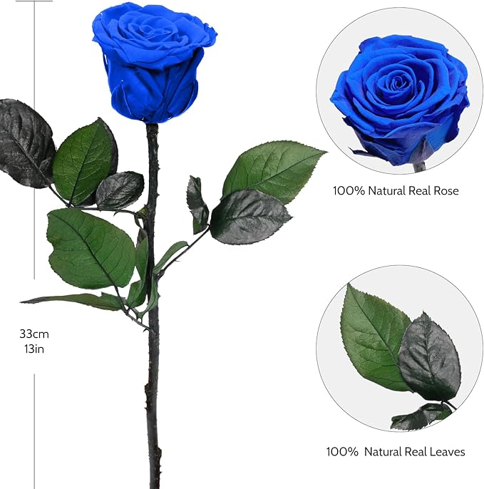 Yamonic Preserved Flowers Rose Gifts for Mom Grandma, Mom Birthday Gifts for Women, Mothers Day Real Flower Rose Gifts for Mom,Her,Wife,Girlfriend on Christmas,Valentine's Day,Anniversary(5 Rose)