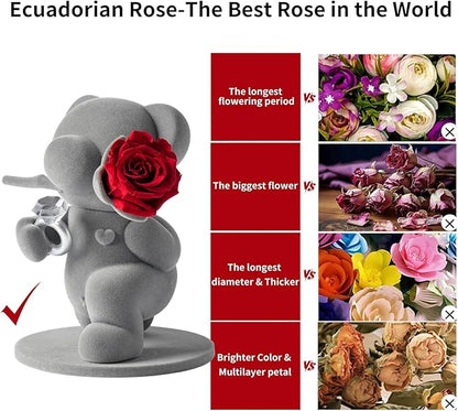 JoyFlower Cute Teddy Bear with Preserved Flowers, Eternal Real Red Rose with Promise Ring Gifts with Gift Box for Girlfriend Wife Women Her in Birthday Christmas, Valentine's, Weddings, Anniversary